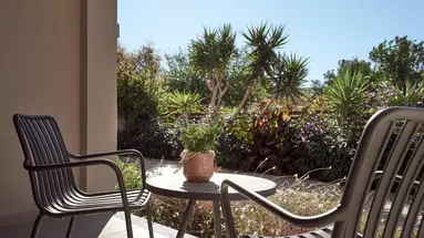 Cactus Hotel