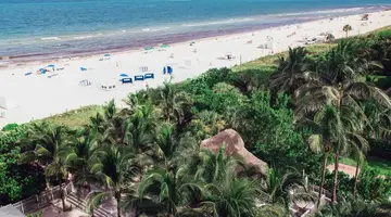 Cadillac Hotel & Beach Club, Autograph Collection