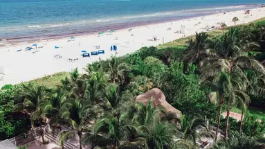 Cadillac Hotel & Beach Club, Autograph Collection