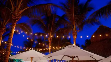 Cadillac Hotel & Beach Club, Autograph Collection