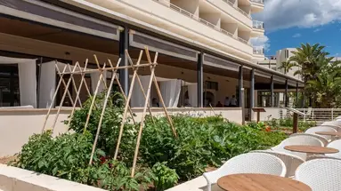 Cala Millor Garden Hotel