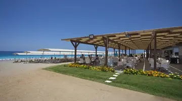 Calido Maris