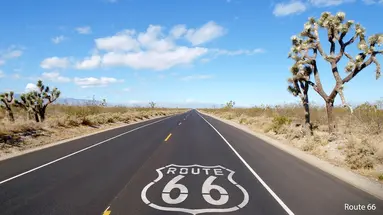California Dream