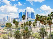 California Dream