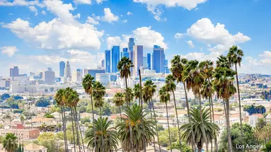 California Dream