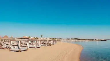 CALIMERA BLEND PARADISE EX ( PARADISE HTL GOLDEN 5)