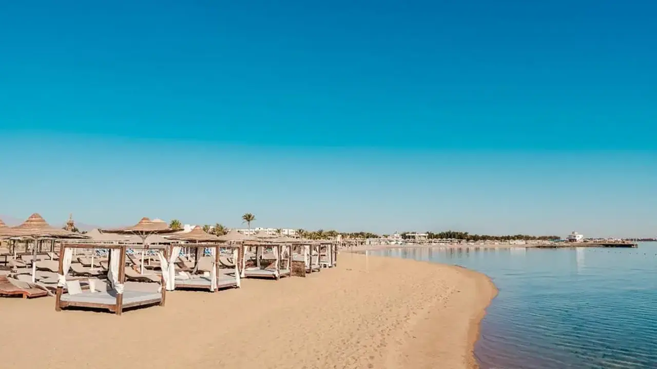 CALIMERA BLEND PARADISE EX ( PARADISE HTL GOLDEN 5)