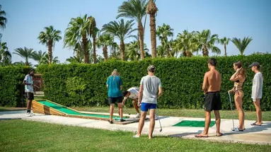 CALIMERA BLEND PARADISE