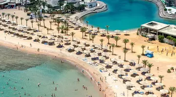 Calimera Blend Paradise