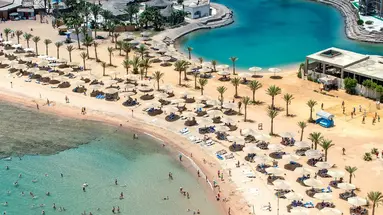 Calimera Blend Paradise