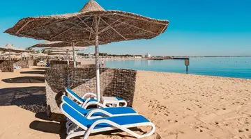 CALIMERA BLEND PARADISE