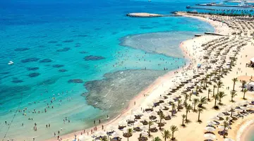Calimera Blend Paradise