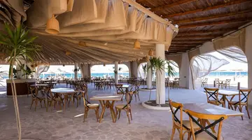 Calimera Blend Paradise