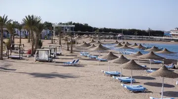 CALIMERA BLEND PARADISE