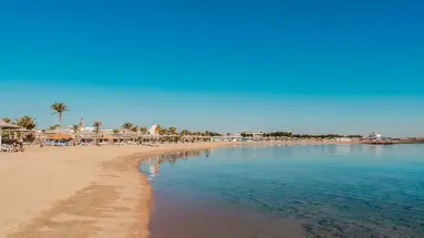 CALIMERA BLEND PARADISE