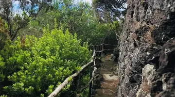 Caloura Hotel Resort