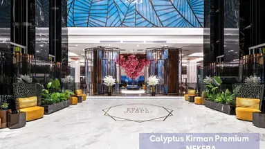 Calyptus Kirman Premium
