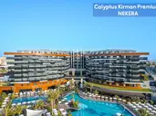 Calyptus Kirman Premium