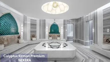Calyptus Kirman Premium