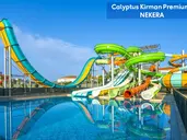 Calyptus Kirman Premium