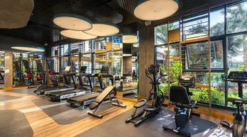 CALYPTUS KIRMAN PREMIUM