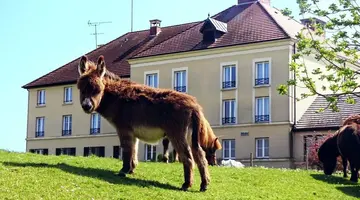 Campanile Val de France (ex Kyriad at Disneyland Paris)