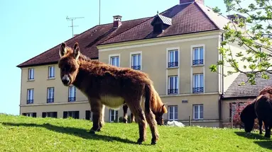 Campanile Val de France (ex Kyriad at Disneyland Paris)