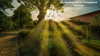 CAMPIGLIONI RELAIS