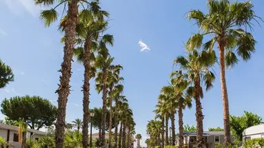 Camping Estival Vendrell Platja
