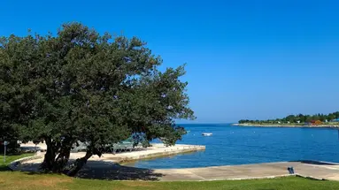 Camping Park Umag Mobile Homes