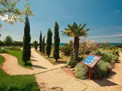 Camping Park Umag Mobile Homes