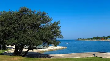 Camping PARK UMAG Plava Laguna - Mobile Homes
