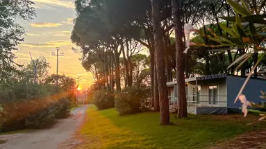 Camping Village Belvedere Pineta