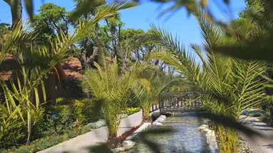 CAN GARDEN BEACH