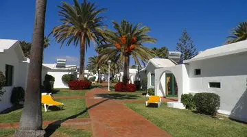 Canary Garden Club