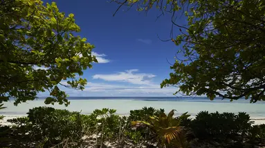 CANOPY BY HILTON SEYCHELLES