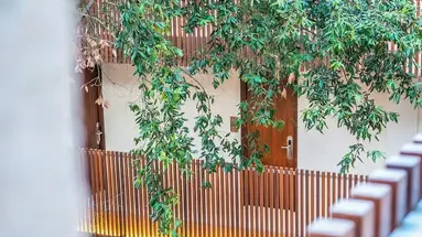 Canyamel Park Hotel & Spa - Adults Only