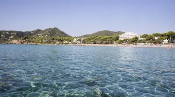 Canyamel Park Hotel & Spa - Adults Only