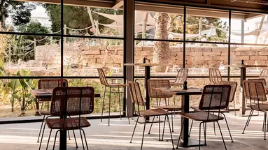 CARAMELO PALMA BEACH (ADULTS ONLY 18+)