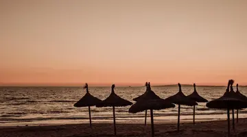 CARAMELO PALMA BEACH (ADULTS ONLY 18+)