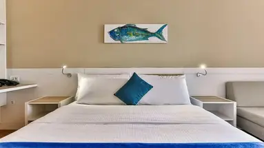 Carine Hotel Delfin