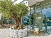 Carine Hotel Kumbor Superior