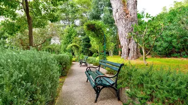 Carine Hotel Park