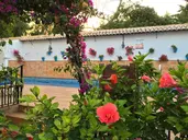 Carmen Teresa