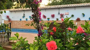 Carmen Teresa