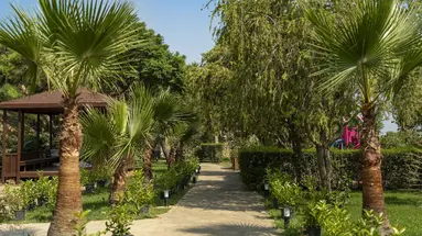 Casa Fora Beach Resort