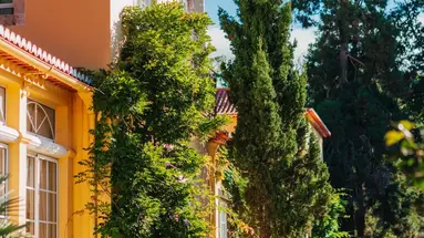 Casa Velha do Palheiro Relais and Chateaux