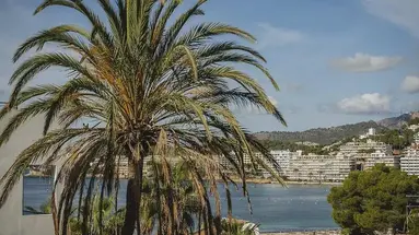 Casa Vida Aptos