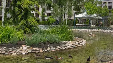 CASCADAS FAMILY RESORT