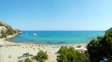 Castell Royal Universal